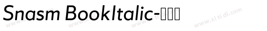 Snasm BookItalic字体转换